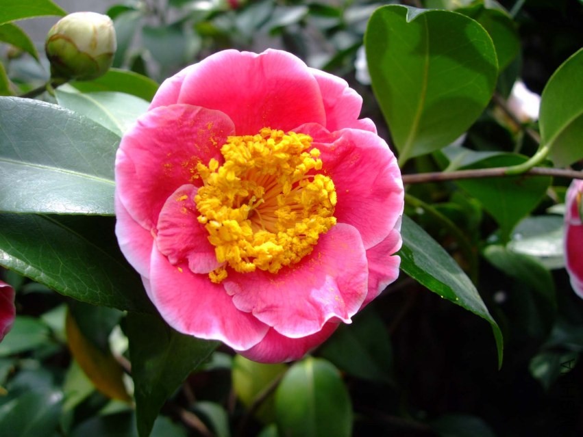 ��˸ 2014-3-29 027.jpg