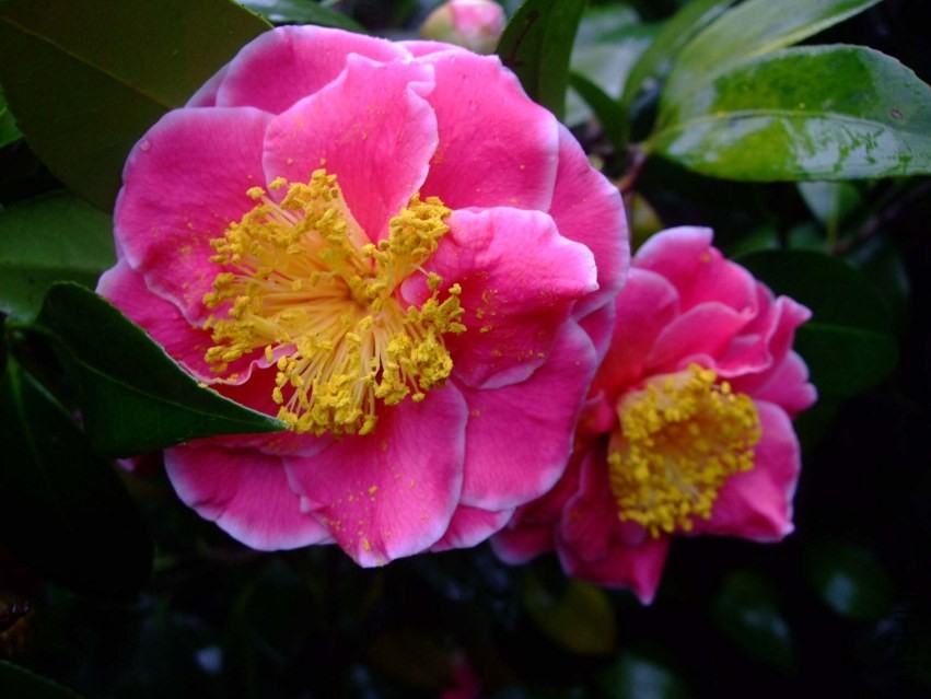 ��˸ 2014-3-29 073.jpg