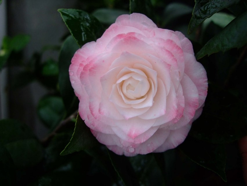 ����� 2014-3-29 133.jpg