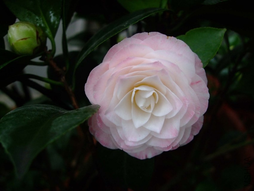 ����� 2014-3-29 132.jpg