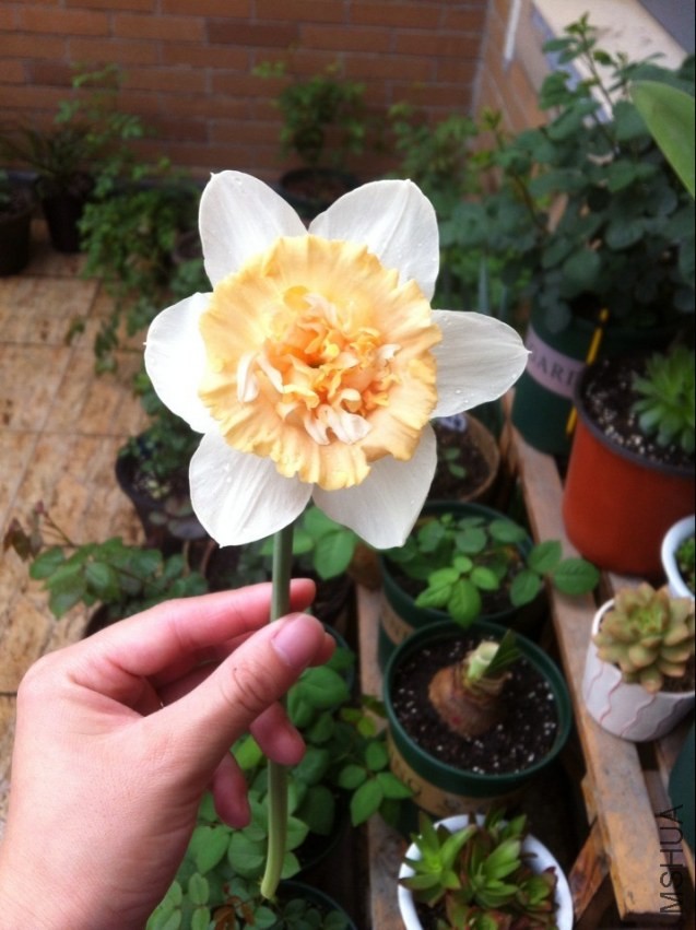 QQͼƬ20140329120654.jpg