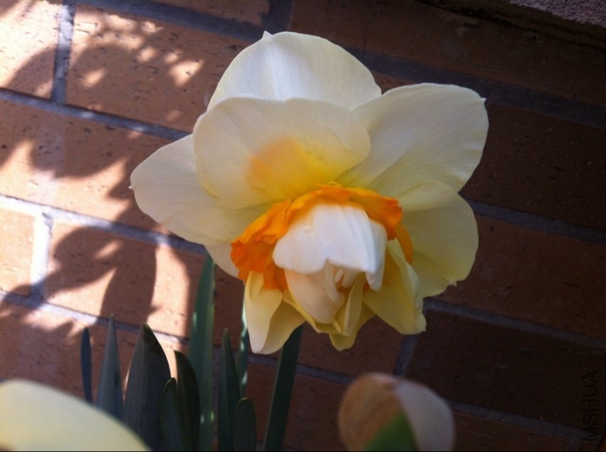 QQͼƬ20140318093204.jpg