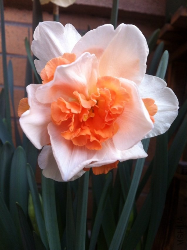 QQͼƬ20140329122506.jpg