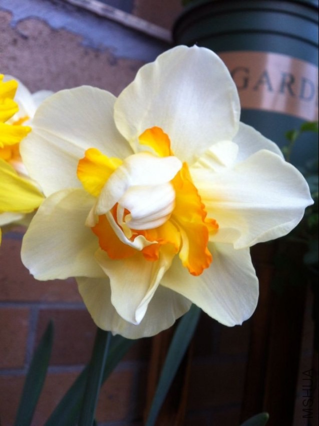 QQͼƬ20140329122500.jpg