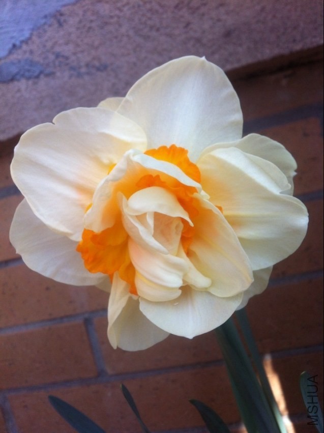 QQͼƬ20140329122455.jpg