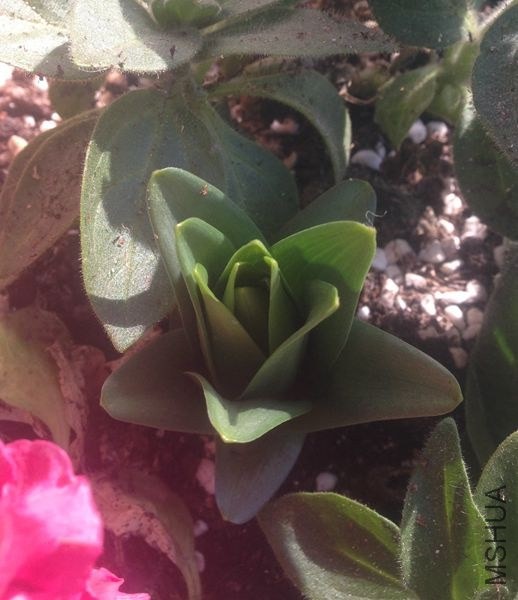 ȥ���ֵİٺ���Ψ����ñ������ڽ���Ĳ��ֵ����ֳ��ˣ����Ҳ�С�ľ�ϲ