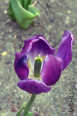 _DSC9254_edited-1.jpg