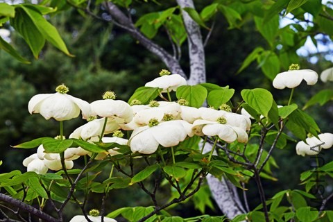 _DSC9273_edited-1.jpg