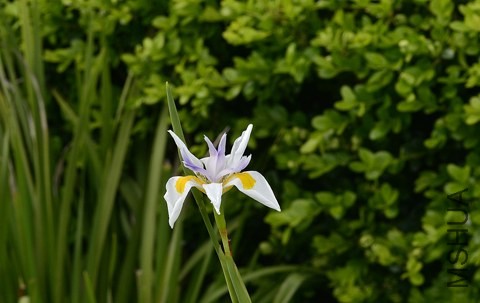 _DSC9275_edited-1.jpg