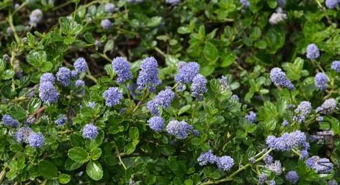 _DSC9260_edited-1.jpg