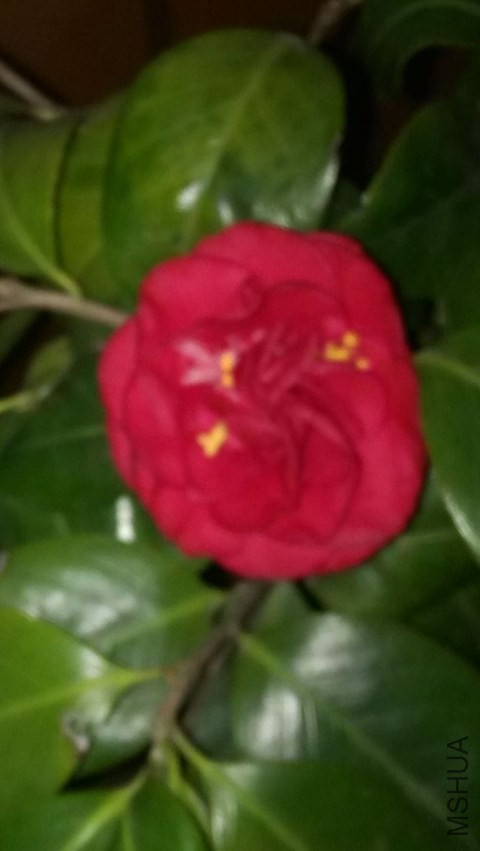IMG_20140326_203120.jpg