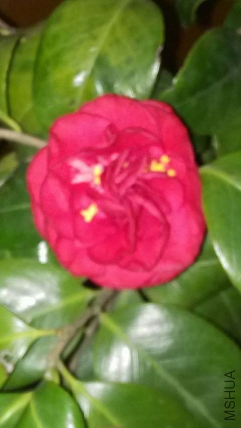 IMG_20140326_203125.jpg
