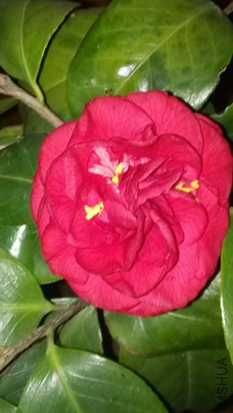 IMG_20140326_203144.jpg