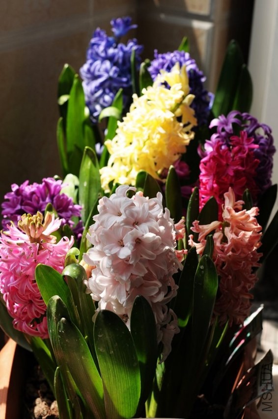 �����Ӵ����