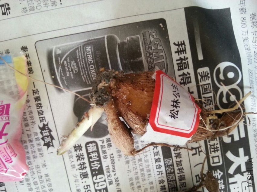 ���ֹ��� (1).jpg