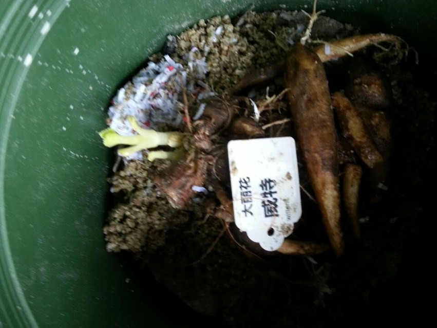 ���� (2).jpg