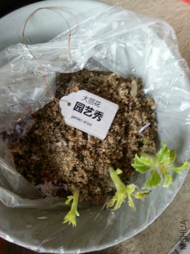 ԰���� (3).jpg