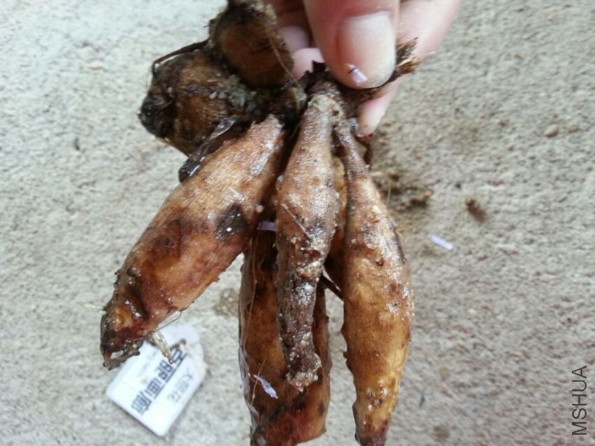 �������� (2).jpg