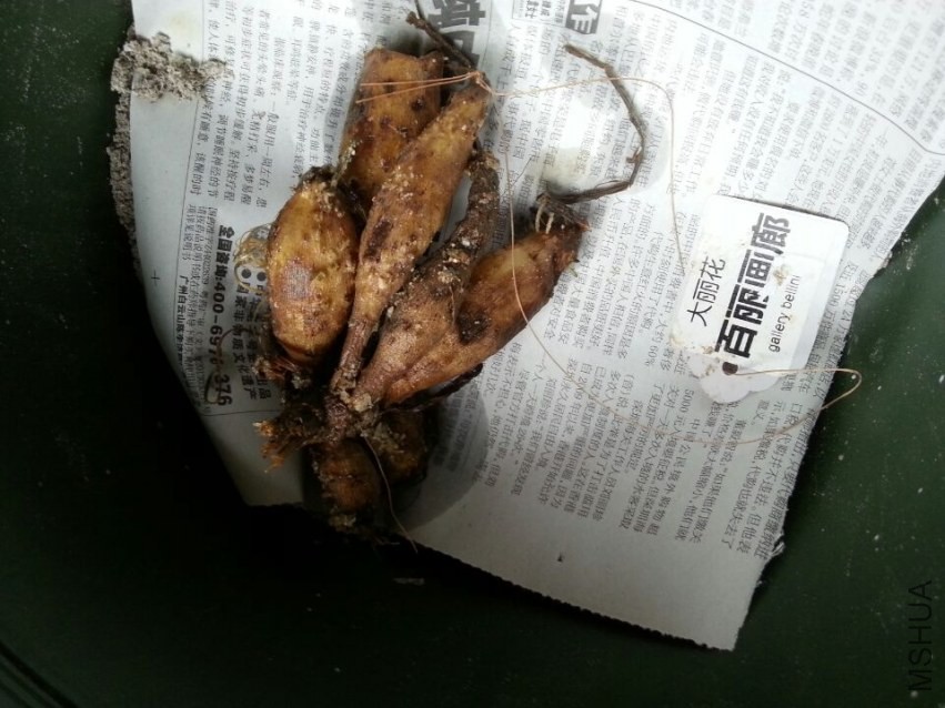 �������� (3).jpg