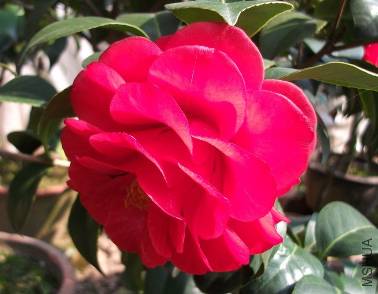 DSCF7551_����.jpg