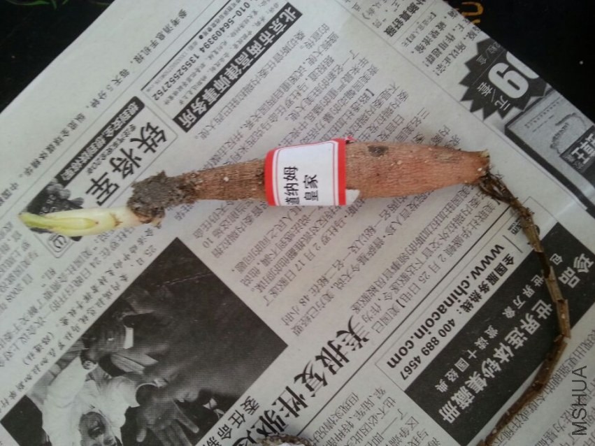 ����ķ�ʼ� (1).jpg