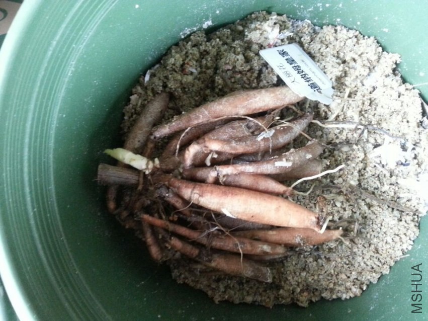 ����ķ�ʼ� (2).jpg