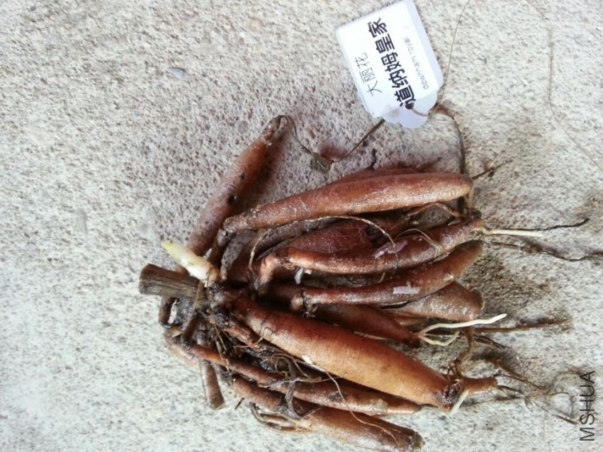 ����ķ�ʼ� (3).jpg