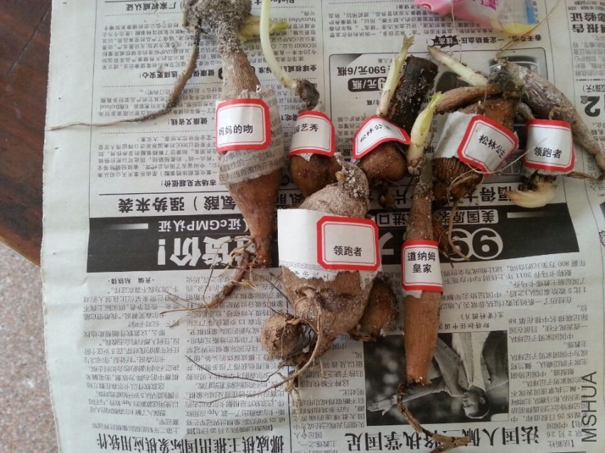 ���� (1).jpg