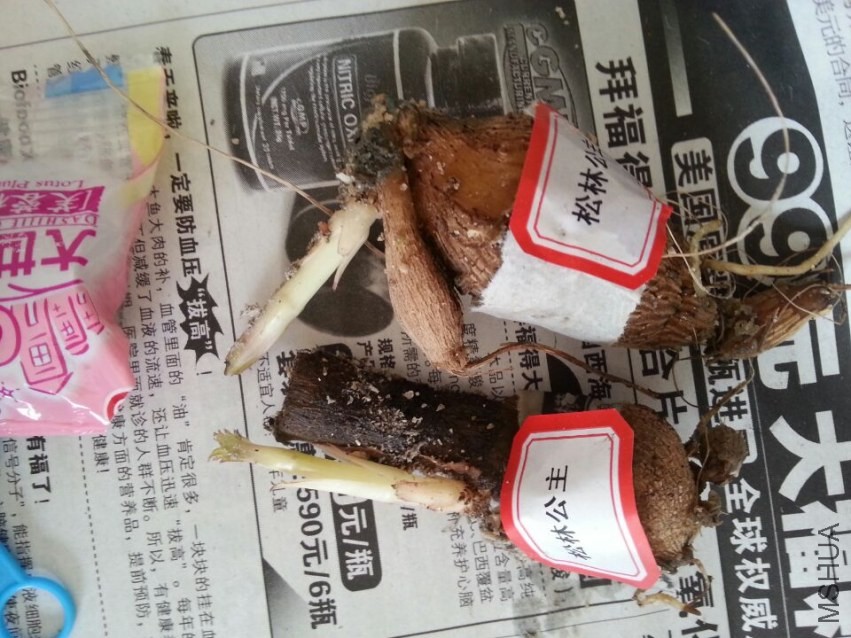 ���� (2).jpg