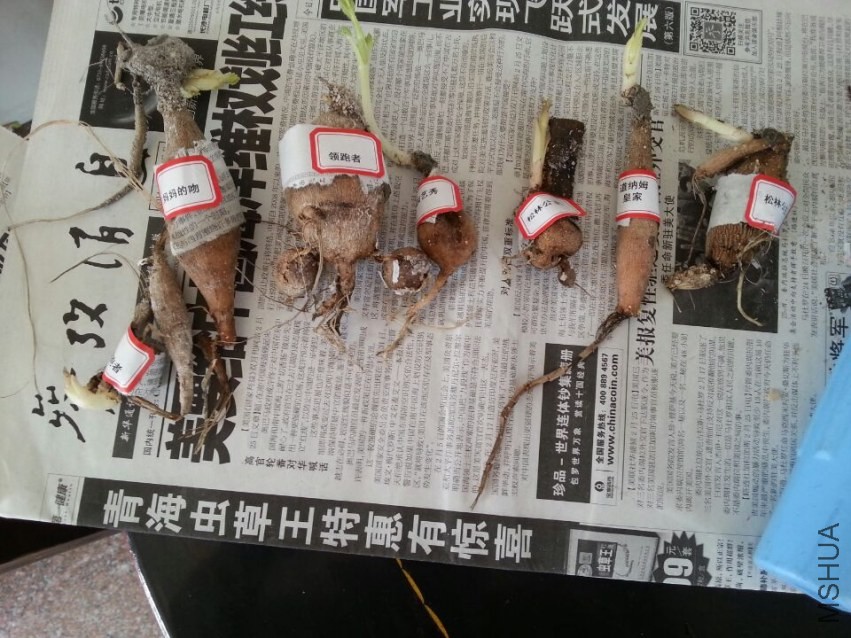 ���� (3).jpg