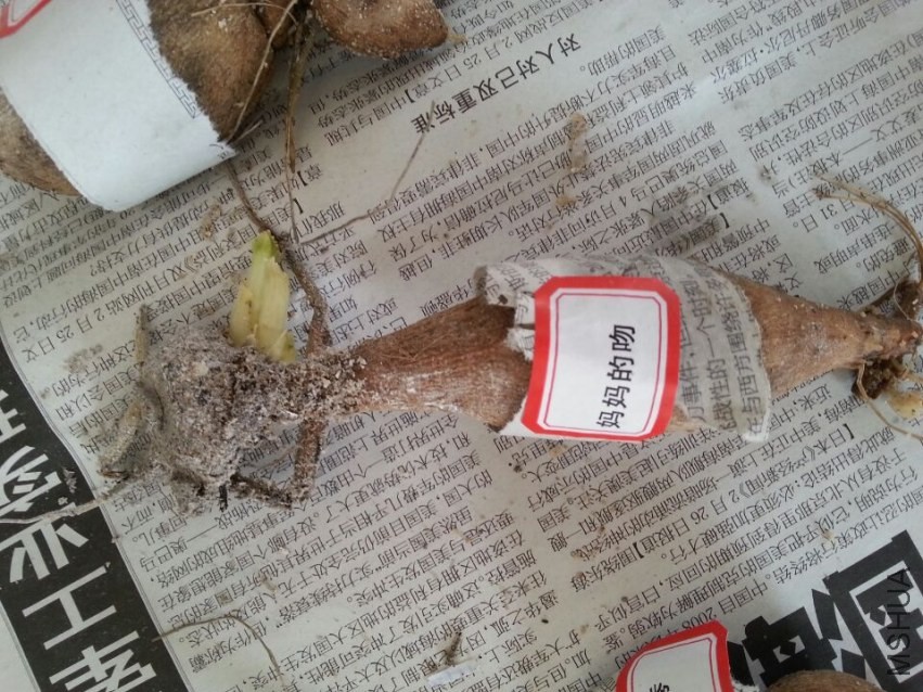 ���� (8).jpg