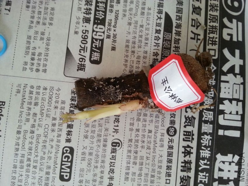 ���� (10).jpg