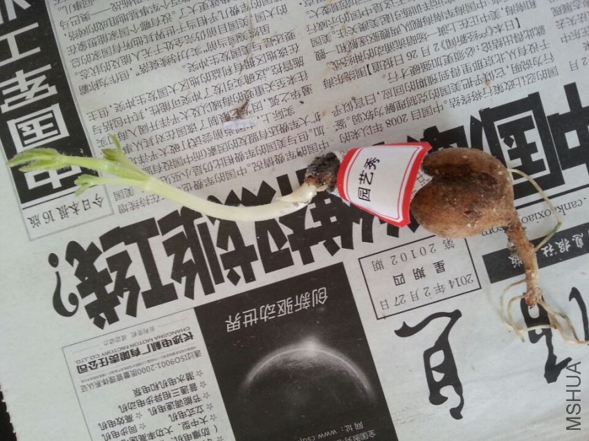 ���� (11).jpg