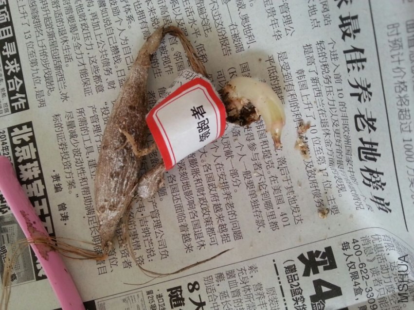 ������ (3).jpg