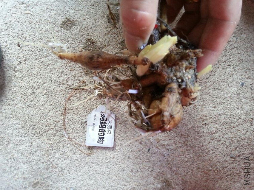 ��**�� (2).jpg