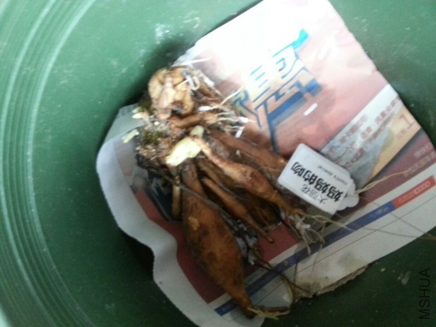 ��**�� (3).jpg