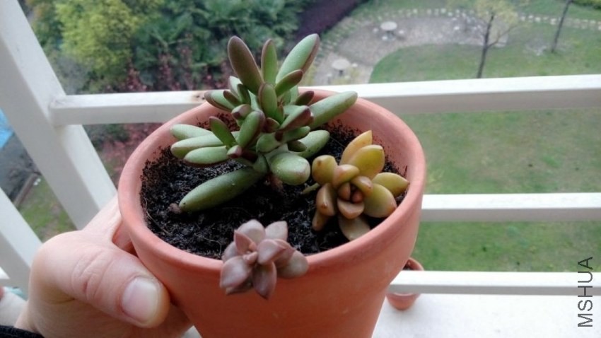 QQͼƬ20140329210234.jpg