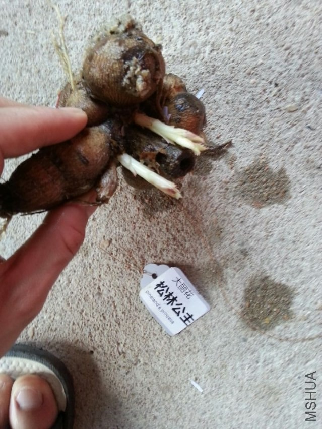 ���ֹ��� (3).jpg