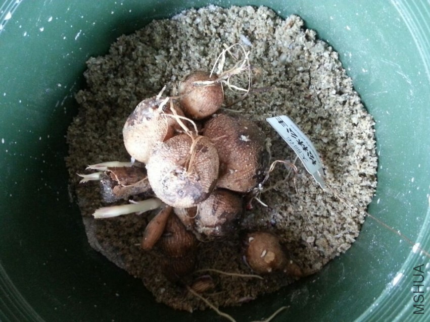 ���ֹ��� (4).jpg