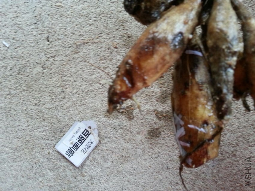 �������� (1).jpg