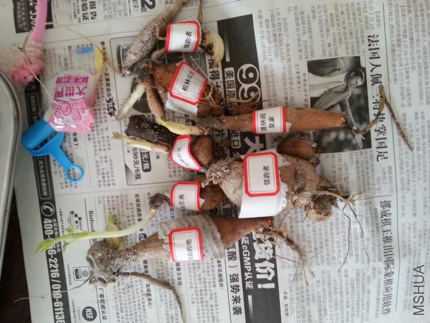 ���� (4).jpg