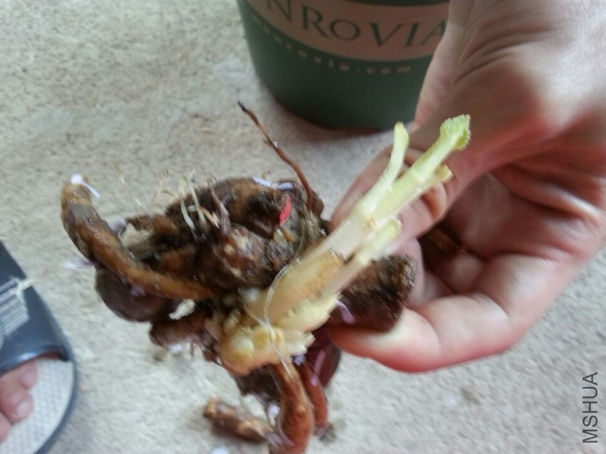 ��**�� (4).jpg