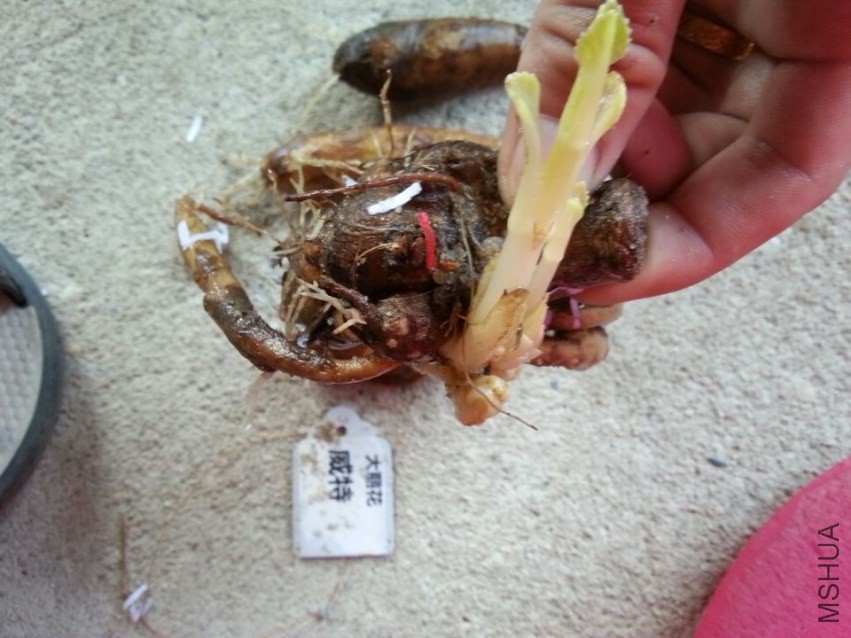 ���� (1).jpg