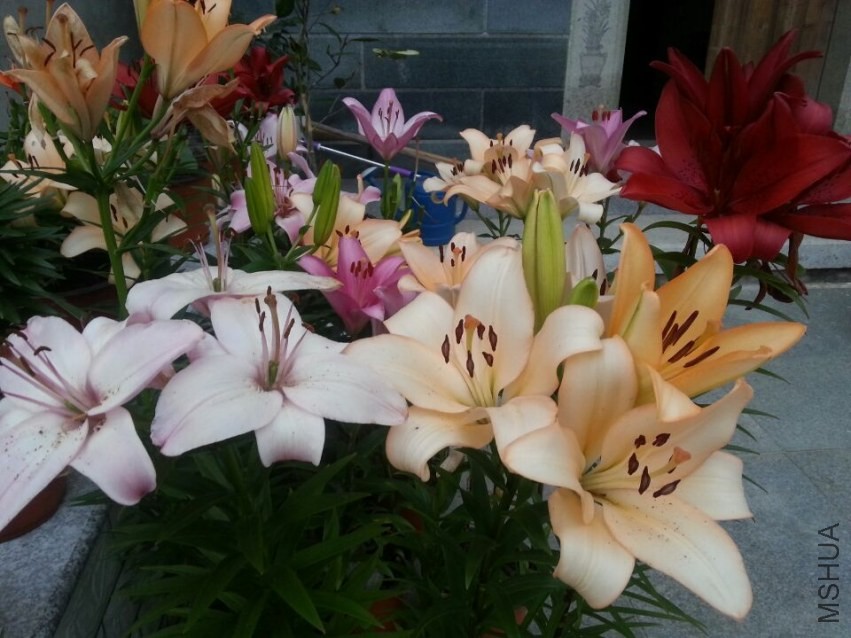 ���� (4).jpg