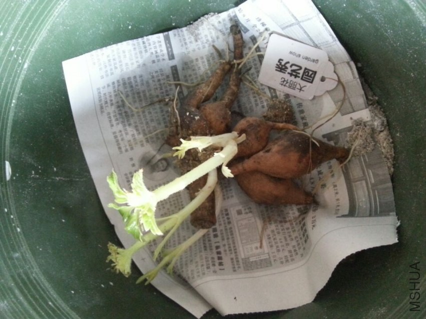 ԰���� (4).jpg