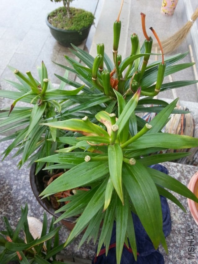 ���ܵ� (3).jpg