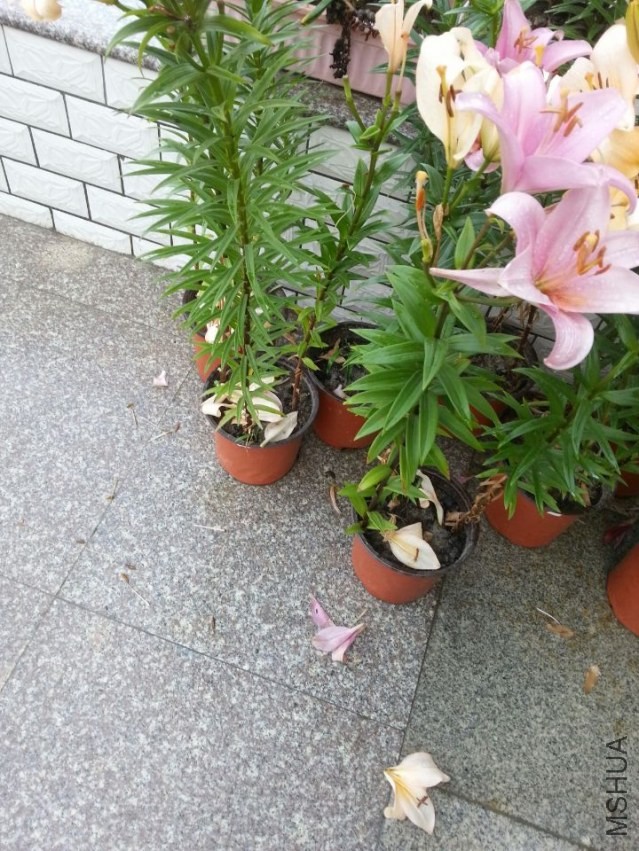 ���ܵ� (2).jpg