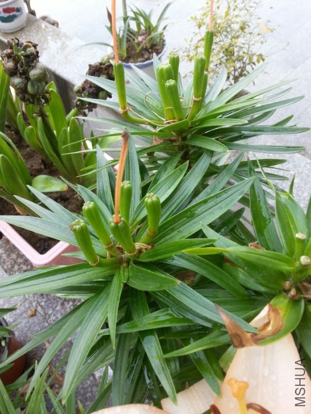 ���ܵ� (4).jpg