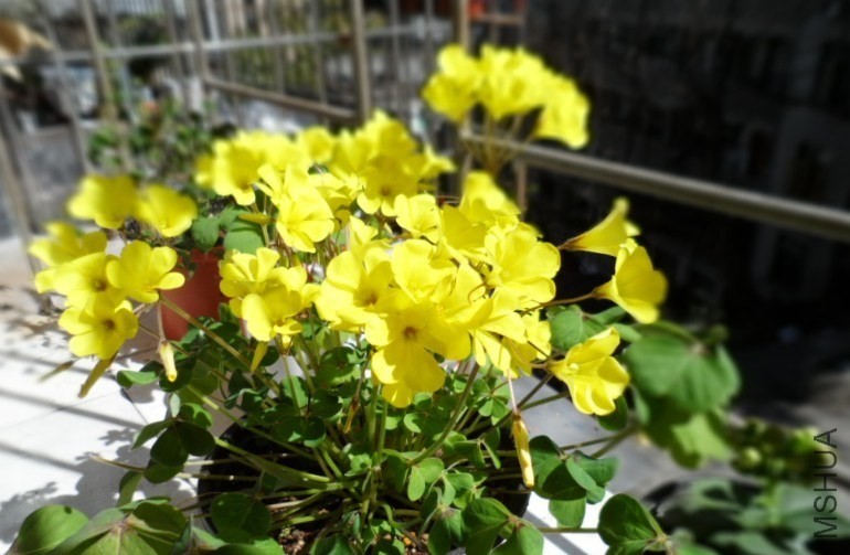 QQͼƬ20140329224341.jpg