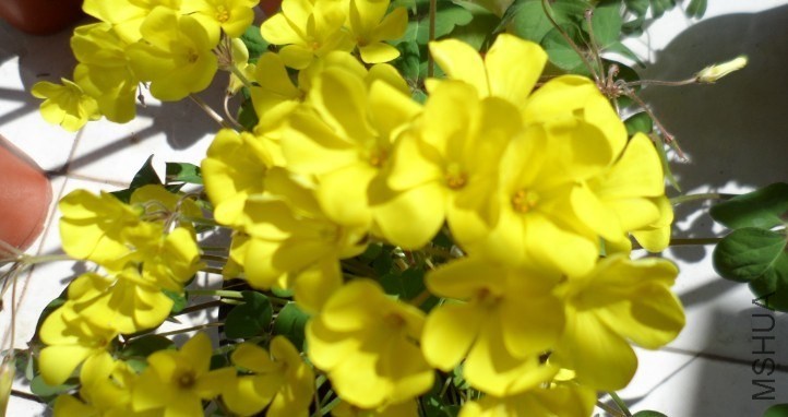 QQͼƬ20140329224401.jpg